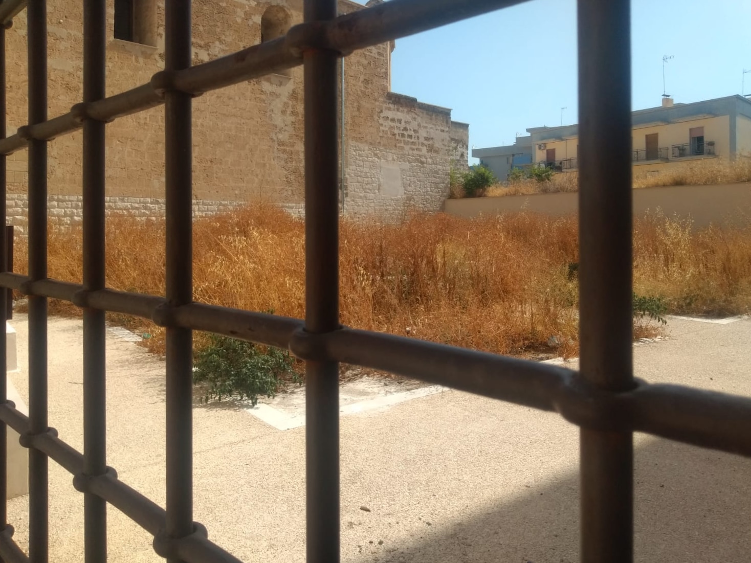 Area da destinare a giardino condiviso del CEA